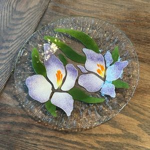 Sydenstricker Glass Plate